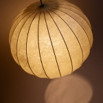 cocoon_2